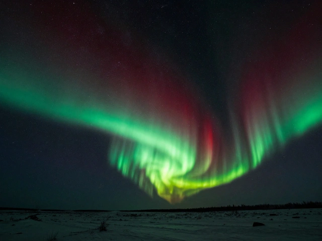 Aurora and Airglow: How to Tell Them Apart in the Night Sky