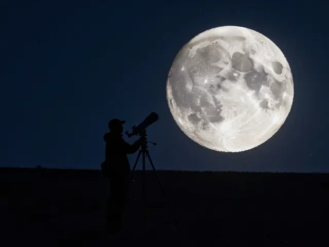Occultation Predictions: Mastering Grazes and Cross-Country Timings for Citizen Scientists